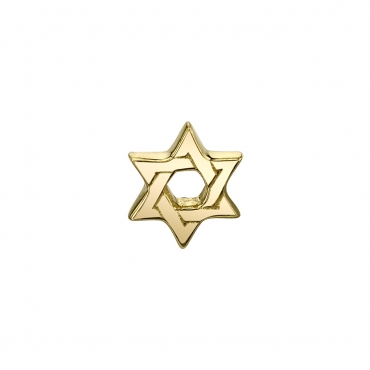 Star of David 1307