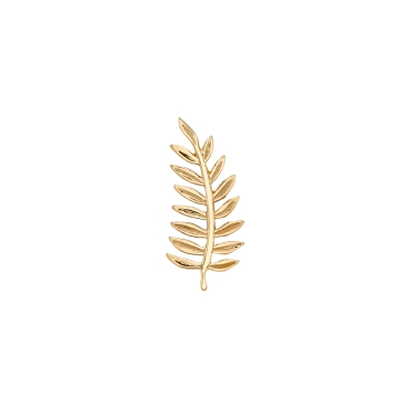 MINI FERN 1645-120